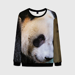 Свитшот мужской Загадочная панда, цвет: 3D-черный