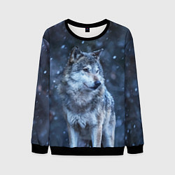 Свитшот мужской Лесной волк, цвет: 3D-черный