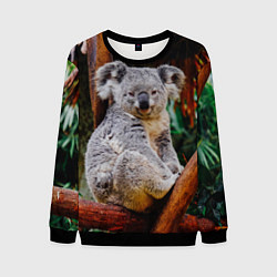 Мужской свитшот Очень уставшая коала