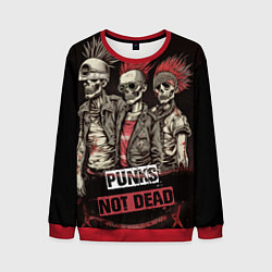 Свитшот мужской Punks not dead, цвет: 3D-красный