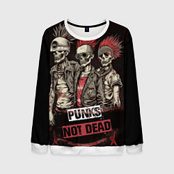 Мужской свитшот Punks not dead