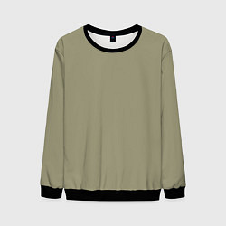 Свитшот мужской Зеленый тренд без принта, цвет: 3D-черный