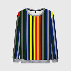 Свитшот мужской Полосы школа чародейства и волшебства, цвет: 3D-меланж
