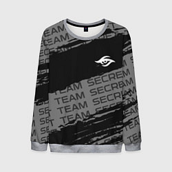 Свитшот мужской Форма Team Secret, цвет: 3D-меланж