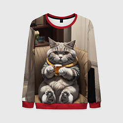 Свитшот мужской Кот сидит на диване с напитком, цвет: 3D-красный