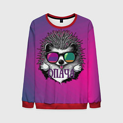 Мужской свитшот Ёж в очках - опача