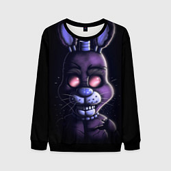 Мужской свитшот Five Nights at Freddys Bonnie