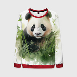 Мужской свитшот Панда акварель