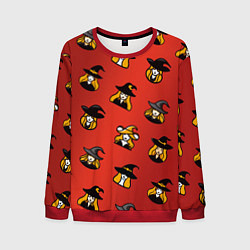 Мужской свитшот Ведьмочки