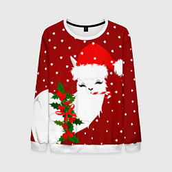 Мужской свитшот Лама - альпака с леденцом