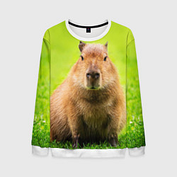 Свитшот мужской Capybara on green grass, цвет: 3D-белый