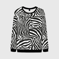 Свитшот мужской Шкура зебры черно - белая графика, цвет: 3D-черный
