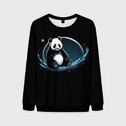 Свитшот мужской Панда сидит, цвет: 3D-черный