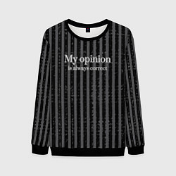 Свитшот мужской My opinion is always correct, цвет: 3D-черный