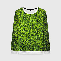Свитшот мужской Зелёная трава листья, цвет: 3D-белый