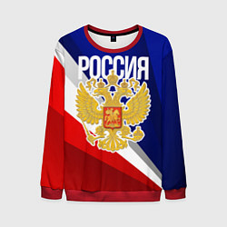Мужской свитшот Россия - герб и триколор