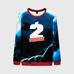 Мужской свитшот Payday 2 storm
