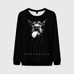 Мужской свитшот Dobermann head