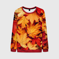 Мужской свитшот Осенние кленовые листья