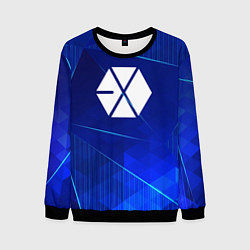 Свитшот мужской Exo blue poly, цвет: 3D-черный