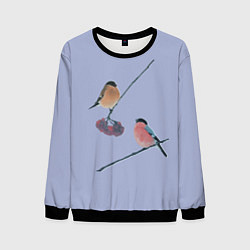 Мужской свитшот Снегири на ветке