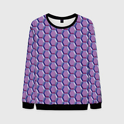 Мужской свитшот Соты