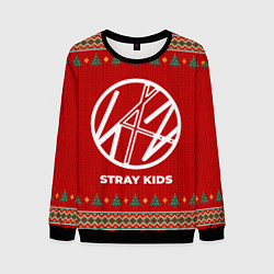 Мужской свитшот Stray Kids new year