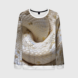 Мужской свитшот Мой удав