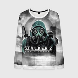 Свитшот мужской Stalker 2 heart of Chornobyl radiation, цвет: 3D-белый