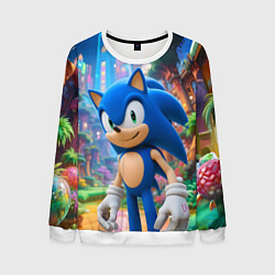Мужской свитшот Sonic красочный мир