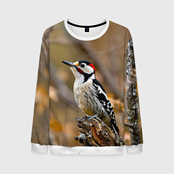 Мужской свитшот Дятел в лесу