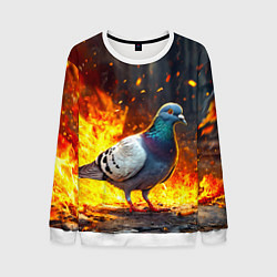 Мужской свитшот Голубь в огне