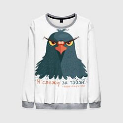 Мужской свитшот Злой голубь