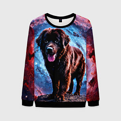Мужской свитшот Ньюфаундленд в космосе