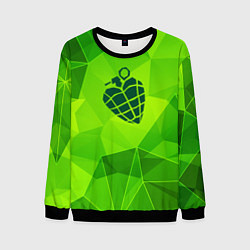 Свитшот мужской Green Day green poly, цвет: 3D-черный