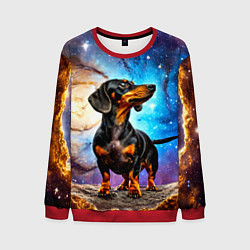 Мужской свитшот Такса в космосе