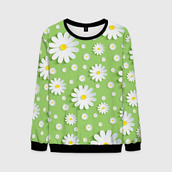 Свитшот мужской Ромашки бумажные, цвет: 3D-черный
