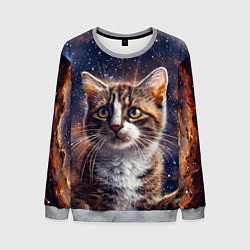 Мужской свитшот Сноу-шу в космосе