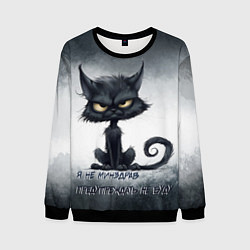 Мужской свитшот Угрожающий кот