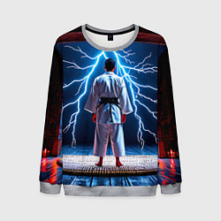 Мужской свитшот Айкидоист и молния