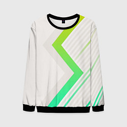 Мужской свитшот Color white line green