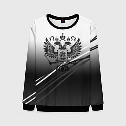 Свитшот мужской Герб России градиент в полосами серый, цвет: 3D-черный