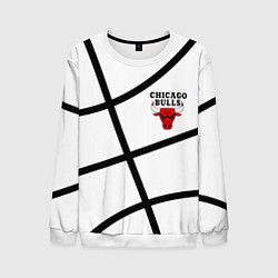 Мужской свитшот Чикаго Буллз на белом фоне