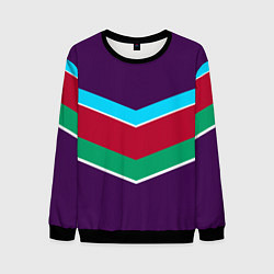 Свитшот мужской Фиолетовый с полосами, цвет: 3D-черный