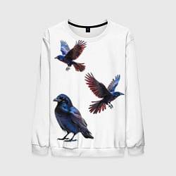 Свитшот мужской Вороны, цвет: 3D-белый