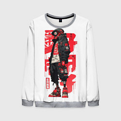 Мужской свитшот Bot raven