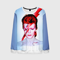 Мужской свитшот Aladdin sane