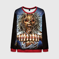 Свитшот мужской Iron Maiden: Maidenfc, цвет: 3D-красный