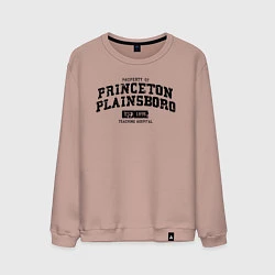 Свитшот хлопковый мужской Princeton Plainsboro, цвет: пыльно-розовый