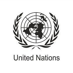 Свитшот хлопковый мужской United Nation, цвет: белый — фото 2